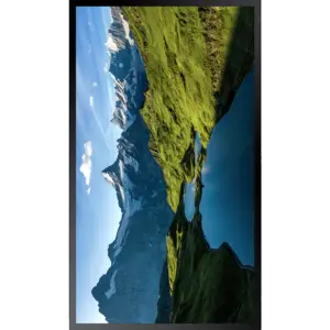 Samsung Commercial Outdoor Display OHA-S Series 55”